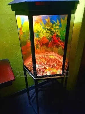Fish Tank With Stand