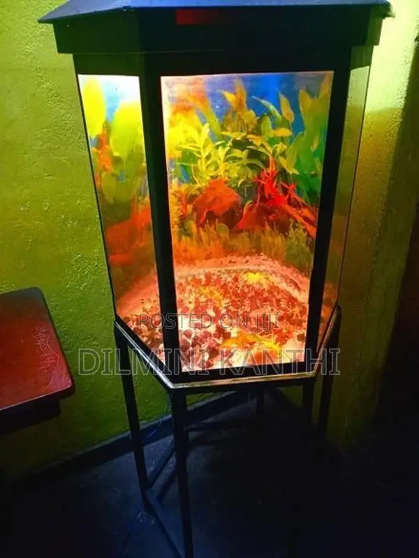 Fish Tank With Stand
