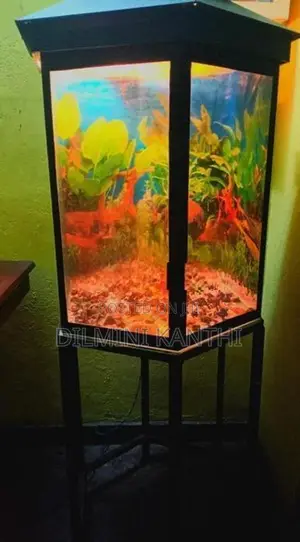 Fish Tank With Stand