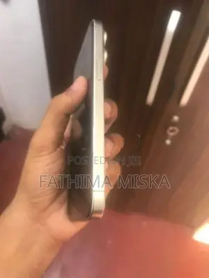 Apple iPhone 15 Pro Max Titanium (Used)