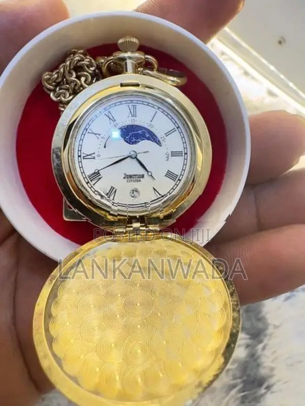 Vintage Pocket watch(JAPAN )