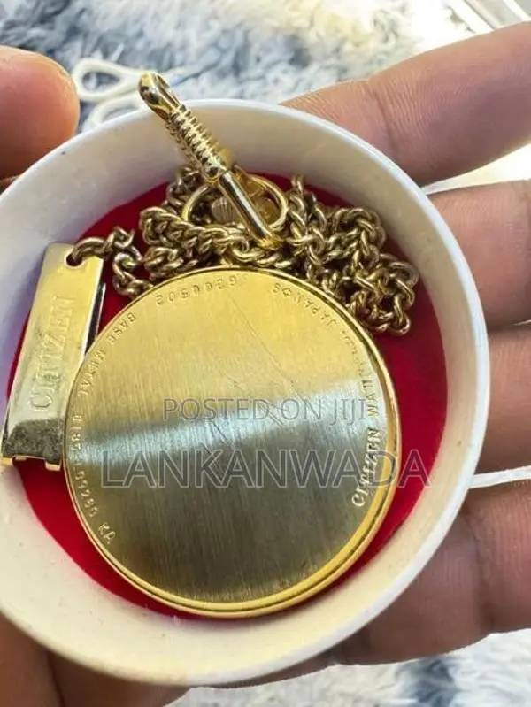 Vintage Pocket watch(JAPAN )