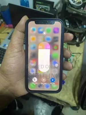 Apple iPhone 12 mini (Used)