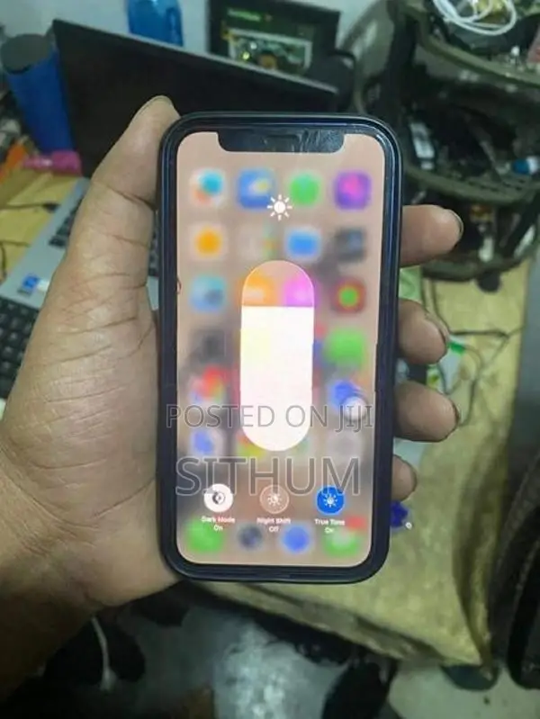 Apple iPhone 12 mini (Used)