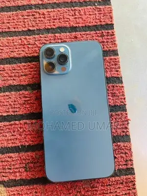 Apple iPhone 12 Pro Max (Used)