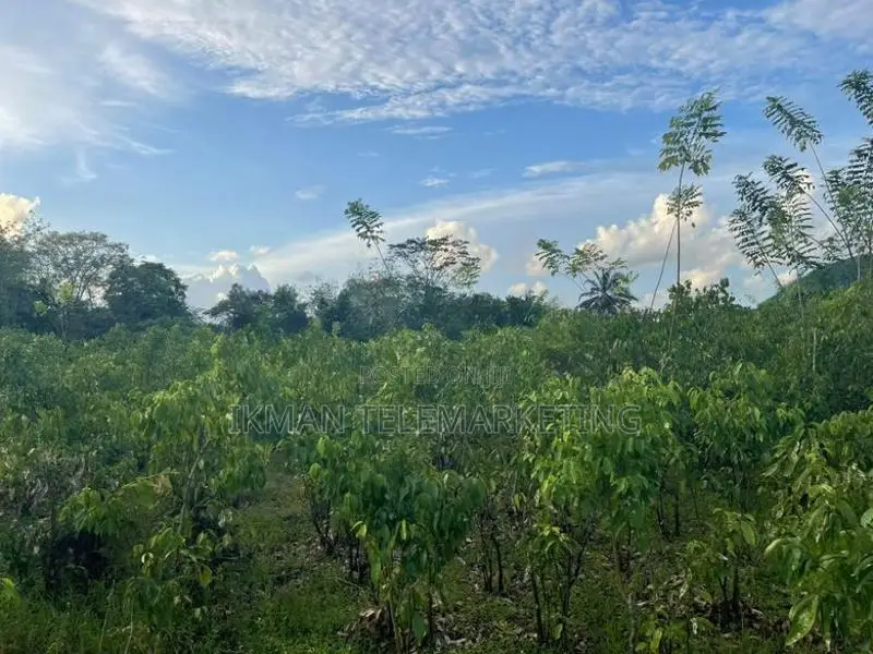 Land For Sale – Off Pitigala-Mativiliya Road In Galle