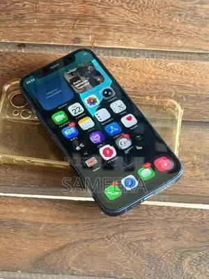 Apple iPhone 12 mini 64GB (Used)