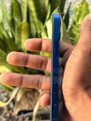 Apple iPhone 12 mini 64GB (Used)