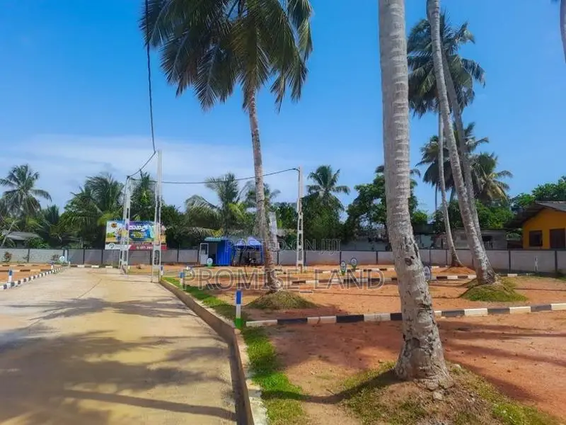 6 Perch Land Plots Sale Walana gamunu mawatha M20