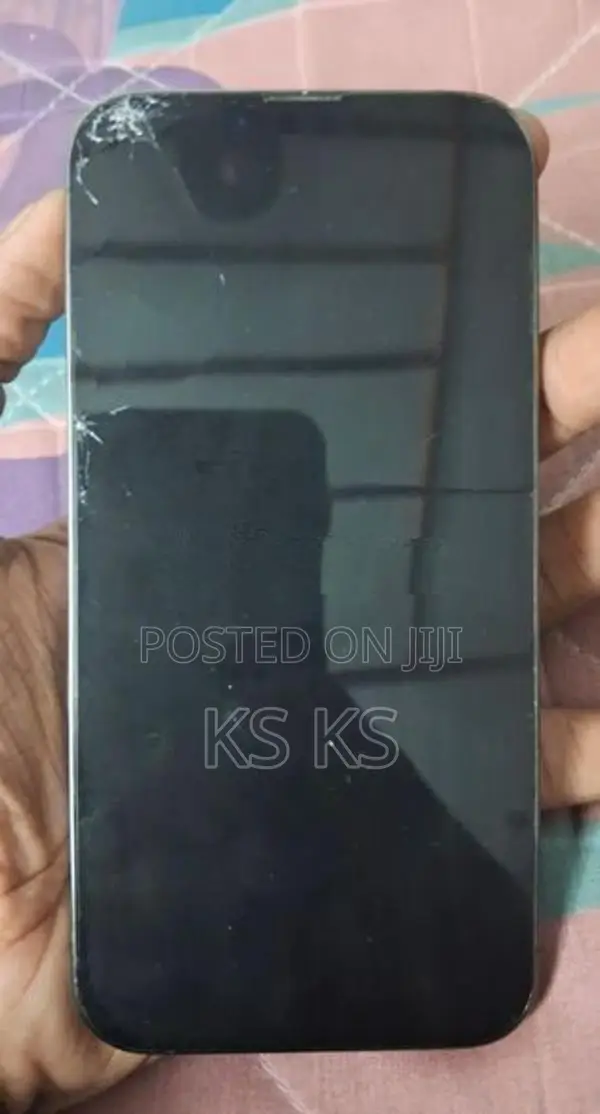 Apple iPhone 13 Pro (Used)