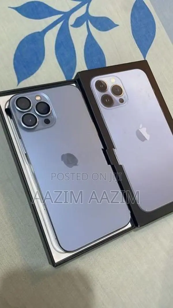 Apple iPhone 13 Pro Max (Used)