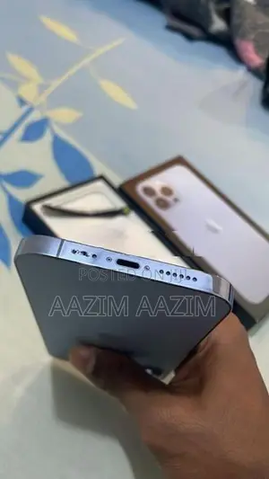 Apple iPhone 13 Pro Max (Used)