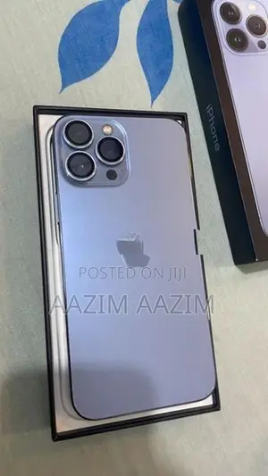 Apple iPhone 13 Pro Max (Used)