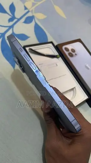Apple iPhone 13 Pro Max (Used)
