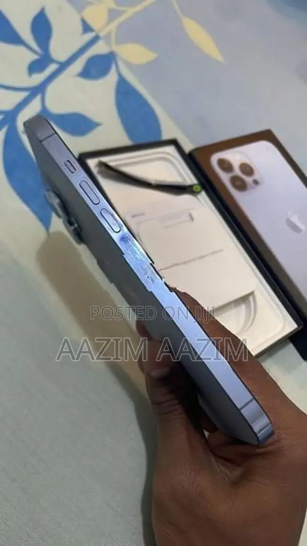 Apple iPhone 13 Pro Max (Used)