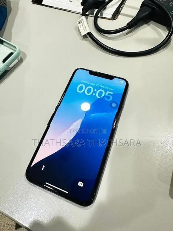 Apple iPhone XS Max (Used)