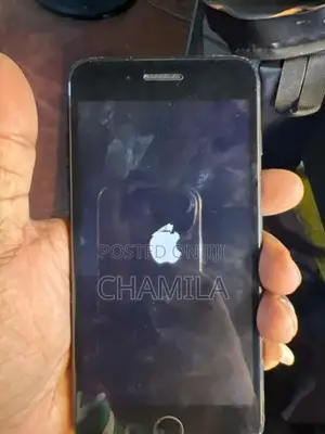 Apple iPhone 7 Plus (Used)