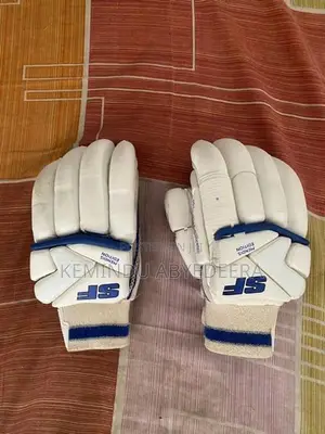 Cricket Gear