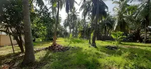Kalpitiya 03 Acres of Valuable Agricultural Land for Immediate Sale