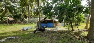 Kalpitiya 03 Acres of Valuable Agricultural Land for Immediate Sale