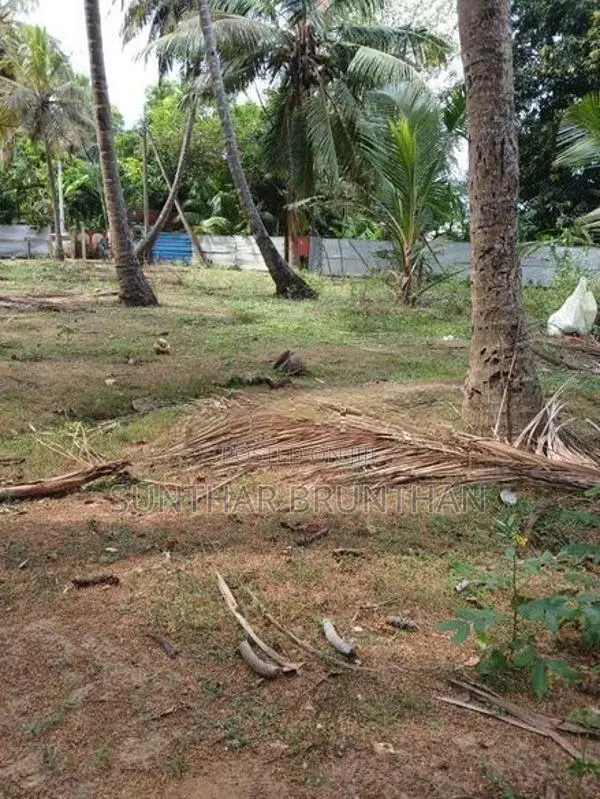 Land for Sale- Jaffna