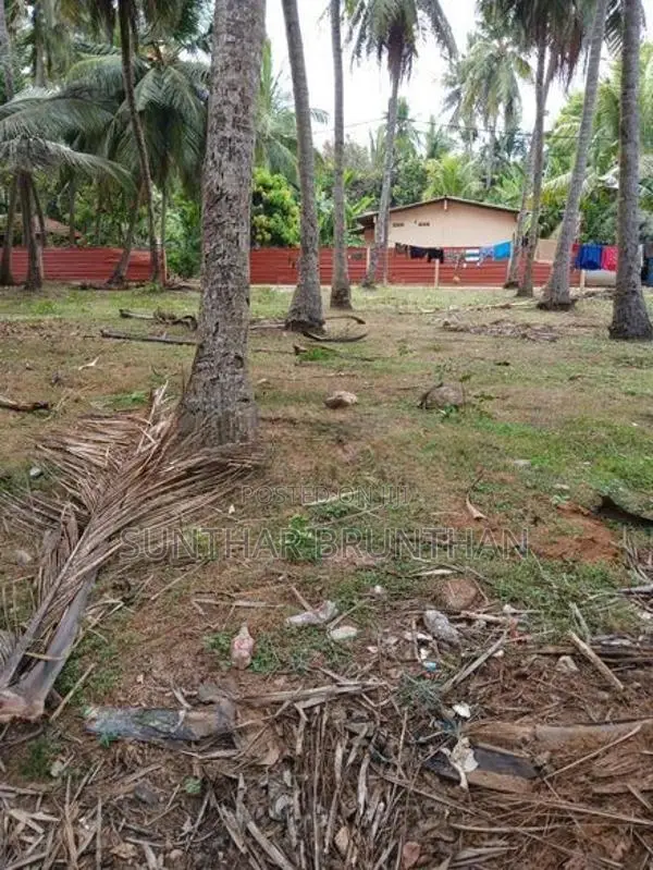 Land for Sale Jaffna