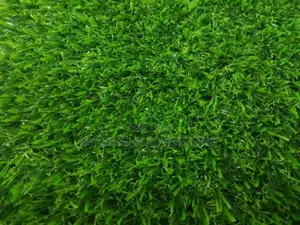 Artificial Grass