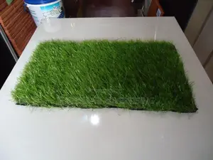 Artificial Grass