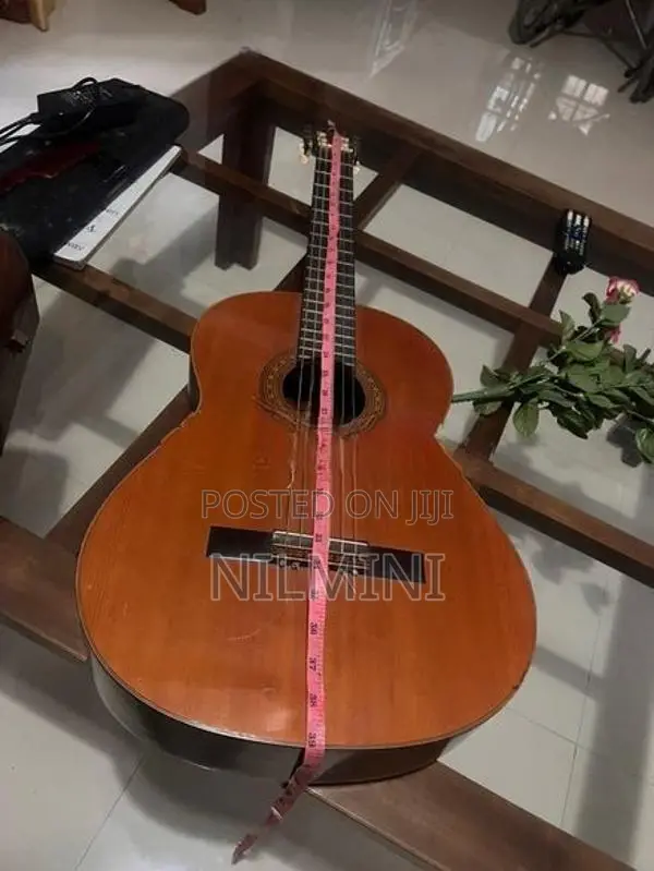 Yamaha Guitar F310