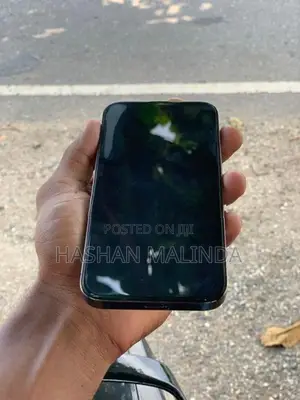 Apple iPhone 13 Pro (Used)