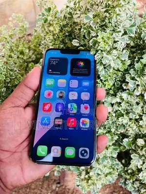 Apple iPhone 13 Pro (Used)