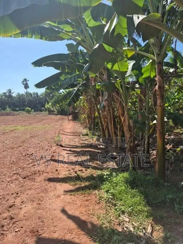 காணி விற்பனைக்கு யாழ்ப்பாணம்