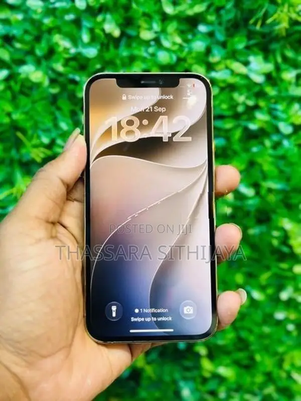 Apple iPhone 12 Pro (Used)