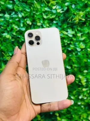 Apple iPhone 12 Pro (Used)