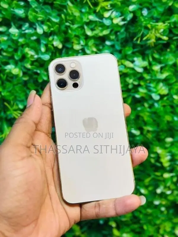 Apple iPhone 12 Pro (Used)