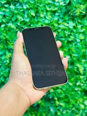 Apple iPhone 12 Pro (Used)