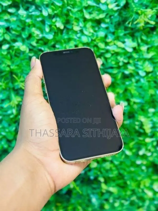 Apple iPhone 12 Pro (Used)