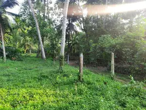 Valuable Roadside Land for Sale in Wilimbulla - Henegama
