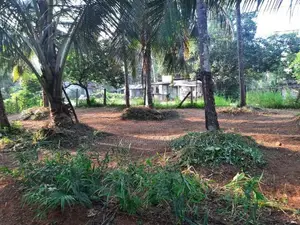 Valuable Roadside Land for Sale in Wilimbulla - Henegama