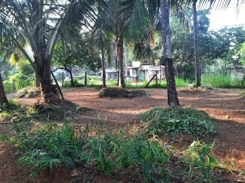 Valuable Roadside Land for Sale in Wilimbulla - Henegama