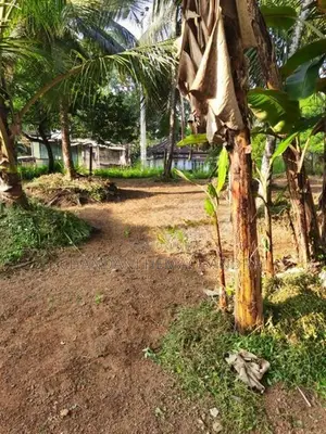 Valuable Roadside Land for Sale in Wilimbulla - Henegama