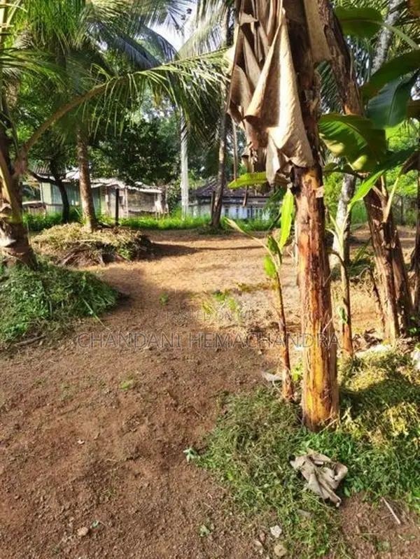 Valuable Roadside Land for Sale in Wilimbulla - Henegama