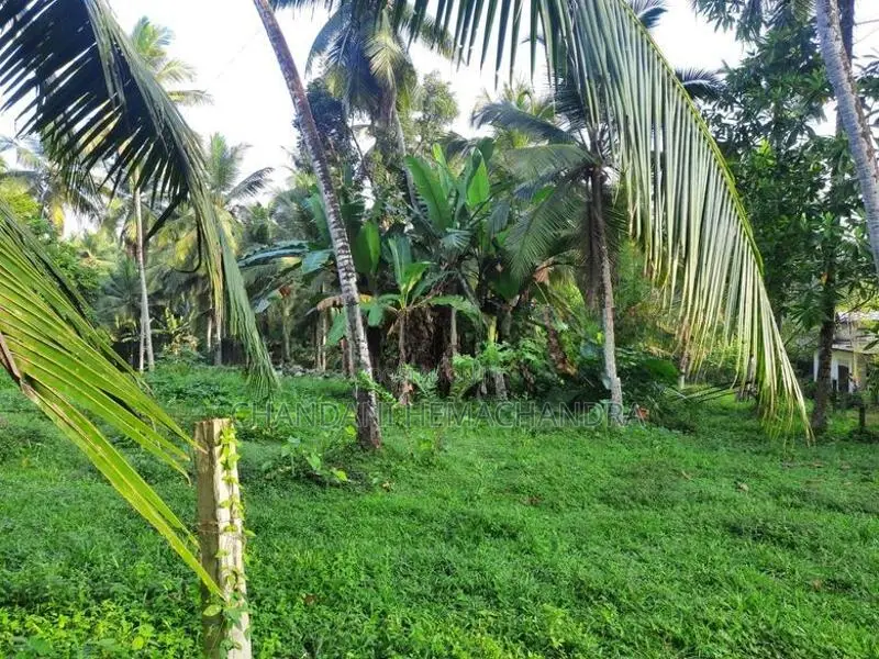 Valuable Roadside Land for Sale in Wilimbulla - Henegama