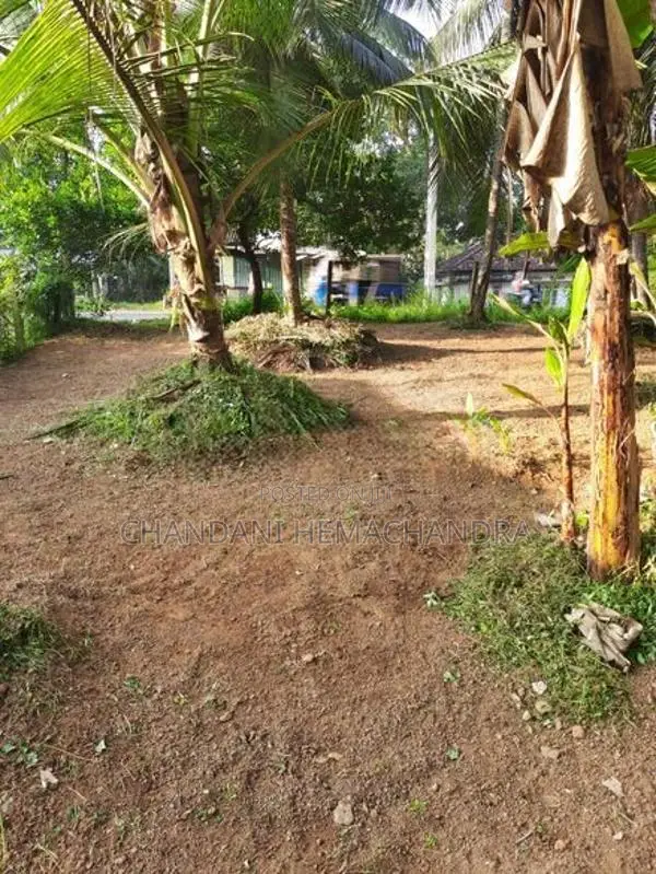 Valuable Roadside Land for Sale in Wilimbulla - Henegama