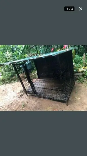 Dog Cage