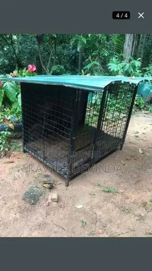 Dog Cage
