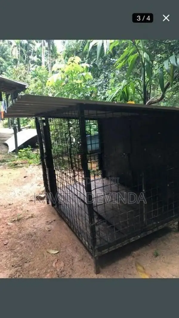 Dog Cage