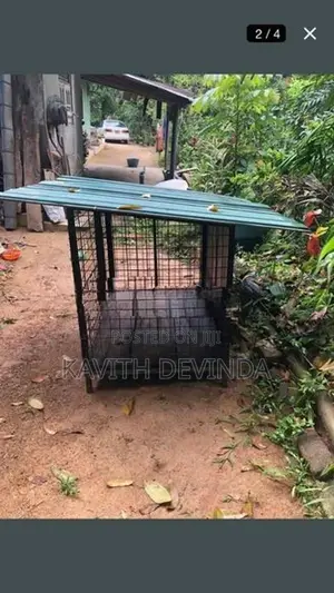 Dog Cage