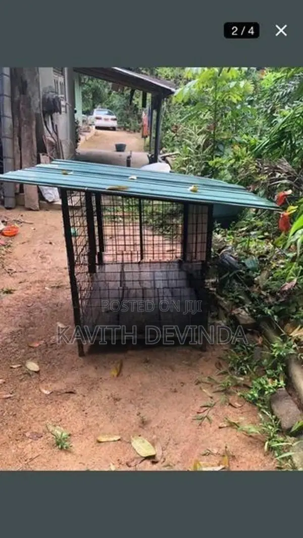 Dog Cage