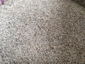 விதை நெல் (seed paddy)